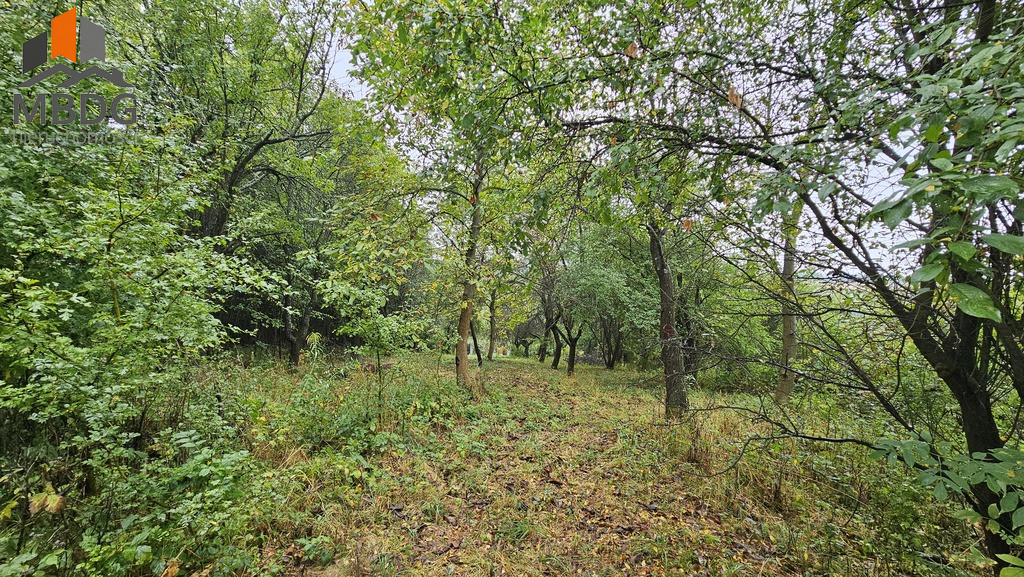 Działka Sprzedaż Sieciechowice Brzozowa